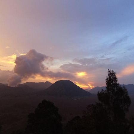 Bromo Holiday Guest House Ngadisari المظهر الخارجي الصورة