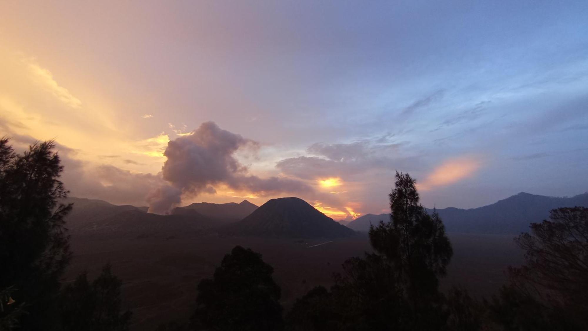 Bromo Holiday Guest House Ngadisari المظهر الخارجي الصورة