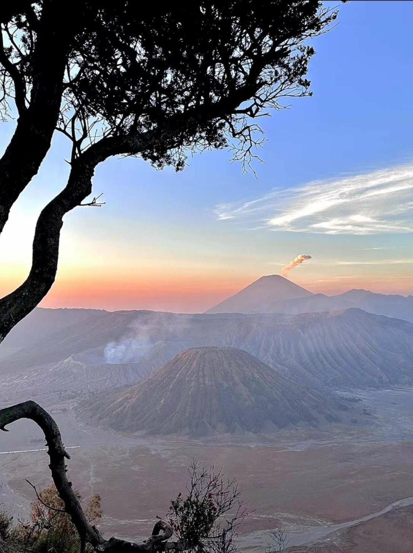 Bromo Holiday Guest House Ngadisari المظهر الخارجي الصورة